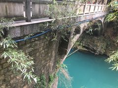 -瑶湖郊野森林公园