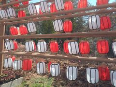 -帽儿山国家森林公园