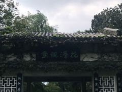 -西湖外事游船(花港观鱼码头)