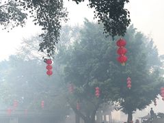 -悦城龙母祖庙