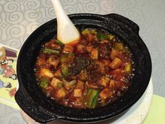 -陈麻婆豆腐总店