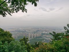 -杭州半山国家森林公园