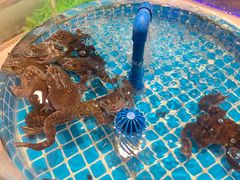 -享遇.锅姥姥牛排海鲜自助(小寨店)