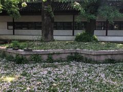 -苏州文庙(姑苏区)