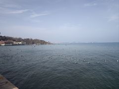 -养马岛旅游度假区