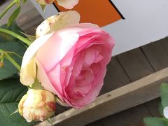 -章太炎故居