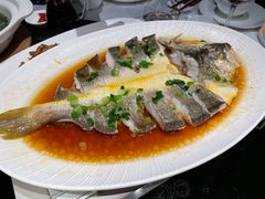 肉汁蒸东海大黄鱼-炳胜品味(海印总店)