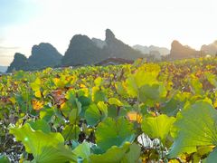 -明仕田园