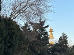-护国法轮寺