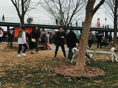 -龙美术馆西岸馆-停车场