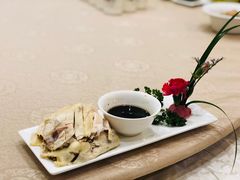 鲜嫩白斩鸡-大鸿运酒店·苏州菜·松鼠桂鱼(观前街店)