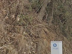 -青龙山国家森林公园