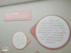 -爱帝宫通乳中心(福田总院)