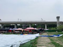 -秀丽东方