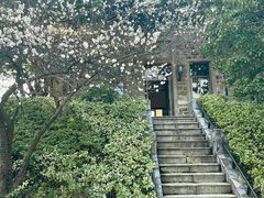 -紫金山天文台