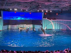 -海合安青岛极地海洋公园