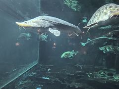 -华夏文旅海洋公园