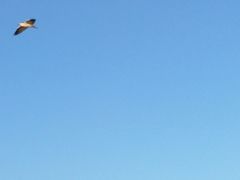 -新江湾城公园