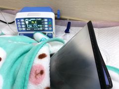 -喜多萌中农锦绣动物医院24H·猫科·牙科MRI·CT