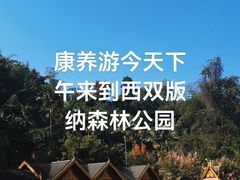 -西双版纳原始森林公园