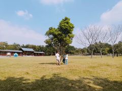 -聚龙山公园
