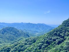 -大岭沟猕猴桃谷风景区