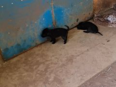 -国艺堂足疗按摩养生会馆(三亚河西路店)