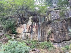 -铁山坪森林公园