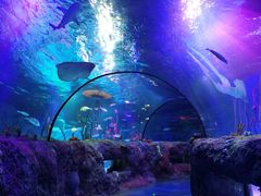 -沈阳海洋探索中心