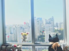 -CC猫狗洗浴·猫咪寄养酒店