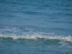 -西涌国际滨海旅游区