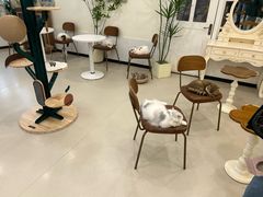 -共舞时光猫咖·狗咖(新街口店)