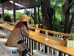-猫的天空之城概念书店(束河店)