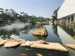 -罗红摄影艺术馆