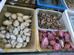 -公寓家常菜馆(海军博物馆店)