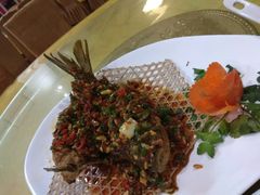 -有口道蔡(古镇花园店)