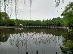 -东湖磨山景区