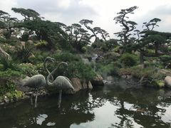 -罗红摄影艺术馆