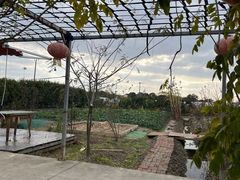 -小鱼草莓采摘园农家乐·小鱼餐厅