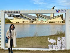 -盐城丹顶鹤湿地生态旅游区