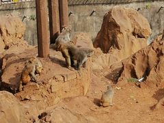 -昆明动物园