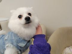 -怪兽屋·羊驼·猫咖·狗咖(俊华广场店)