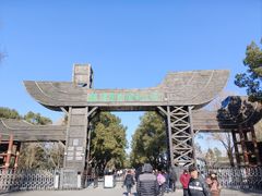 -溱湖国家湿地公园