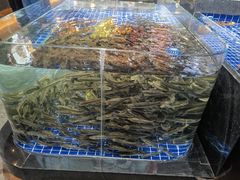 -宝轩渔府·老字号海鲜·正宗津菜(水上店)