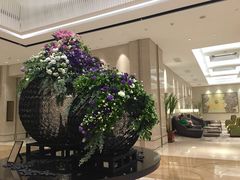 -南湖名都·景湖轩全日制餐厅·海鲜自助·东南亚风味·临湖而食