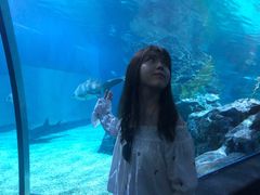 -暹罗海洋世界