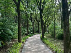 -昆山城市生态森林公园