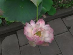 -宝光寺
