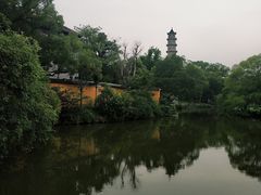 -江心屿景区