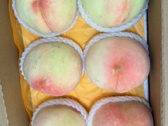 -老袁家蜜桃农场·阳山水蜜桃